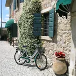 I Costanti