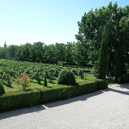 Feriegård I Costanti
