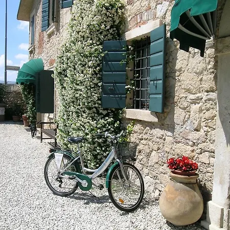 I Costanti