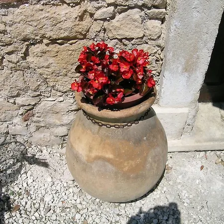 I Costanti *