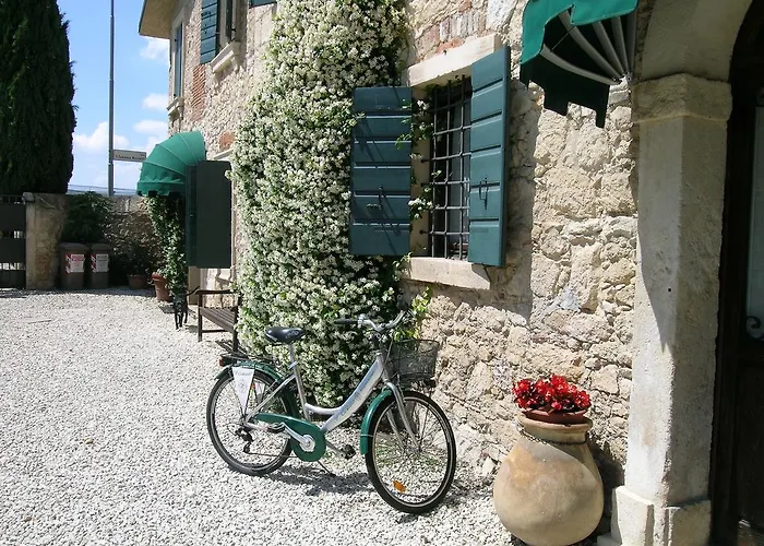 I Costanti